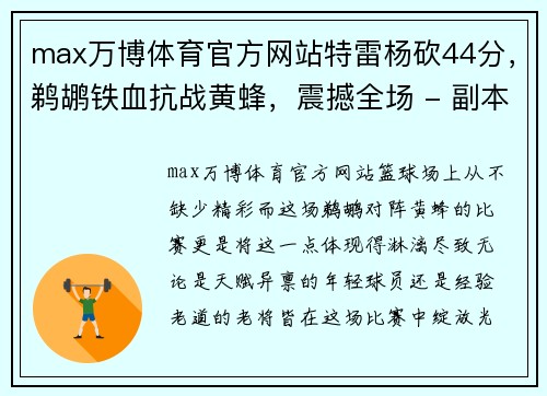 max万博体育官方网站特雷杨砍44分，鹈鹕铁血抗战黄蜂，震撼全场 - 副本